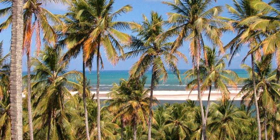 Barravilha Chales Barra do Cunhau Eksteriør bilde